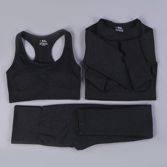 2/3PCS Seamless Women Workout Sportswear