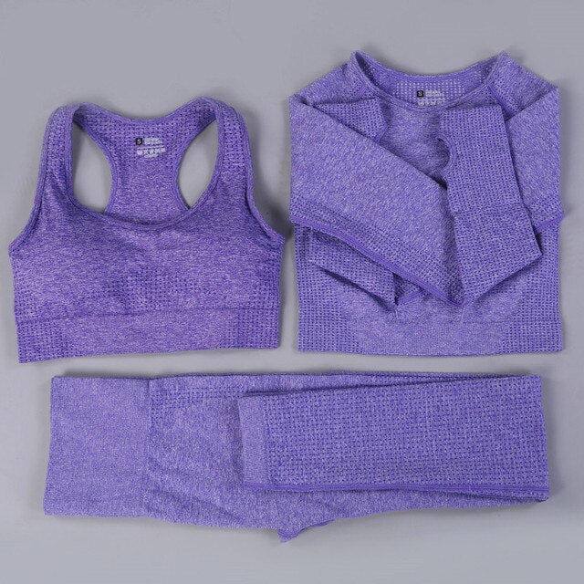 2/3PCS Seamless Women Workout Sportswear